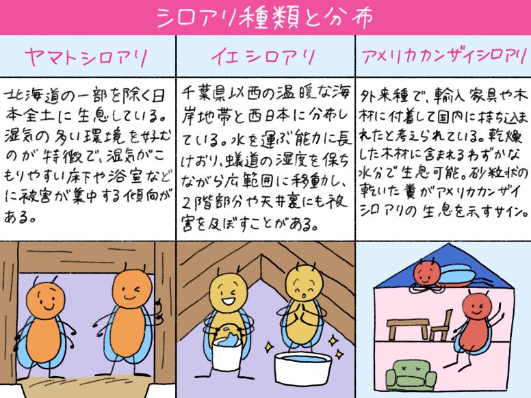 主要なシロアリの種類と分布