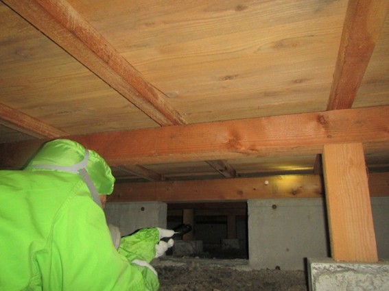 専門的な知識が豊富なプロによるシロアリ調査の様子