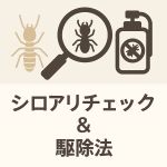 シロアリチェック＆駆除法
