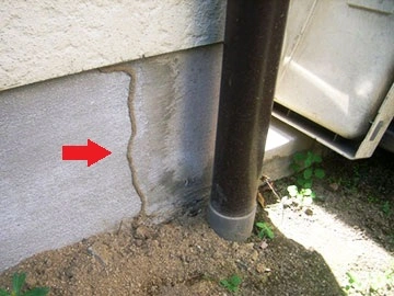 基礎コンクリートにできた蟻道