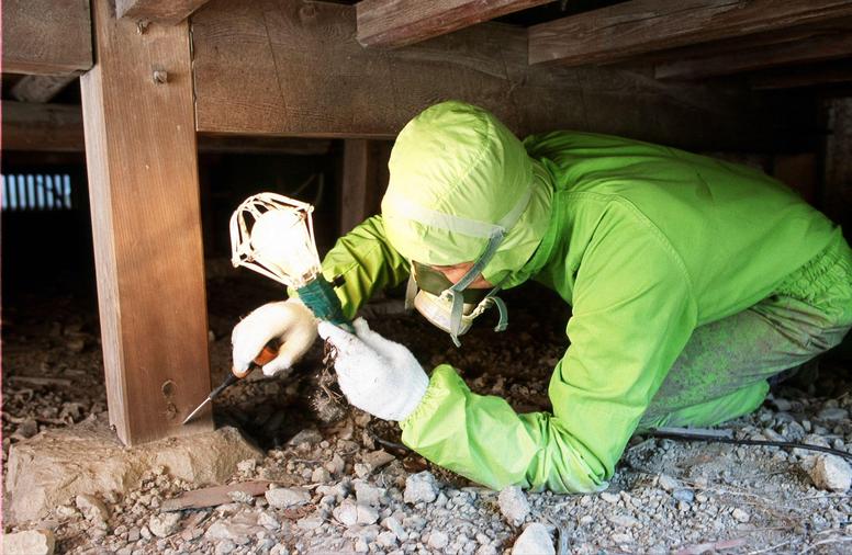 専門業者によるシロアリ駆除作業