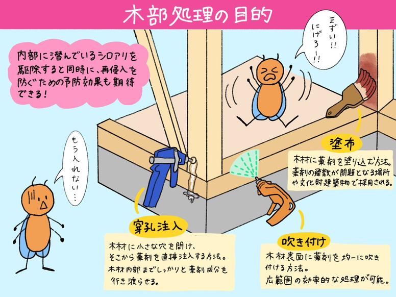 シロアリ駆除のバリア工法「木部処理」の目的