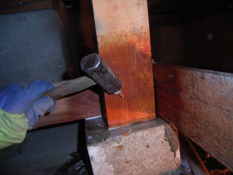 シロアリ駆除の木部処理の作業過程③薬剤を注入した穴に木栓を打ち込む