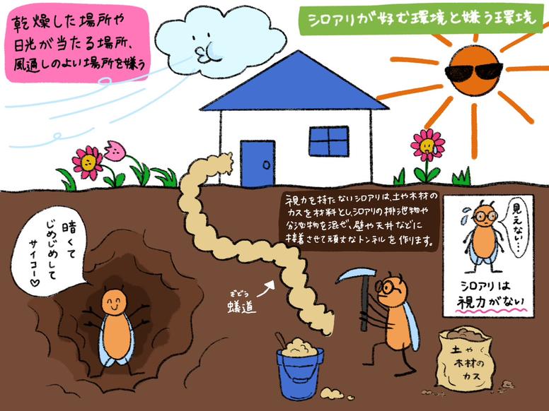 シロアリが好む環境と嫌う環境