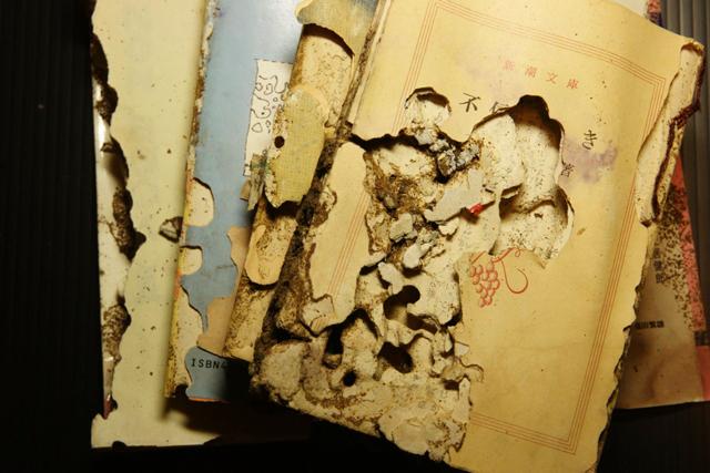 シロアリ被害を受けた書籍