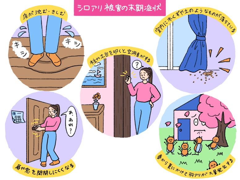 シロアリ被害の主な5つ末期症状