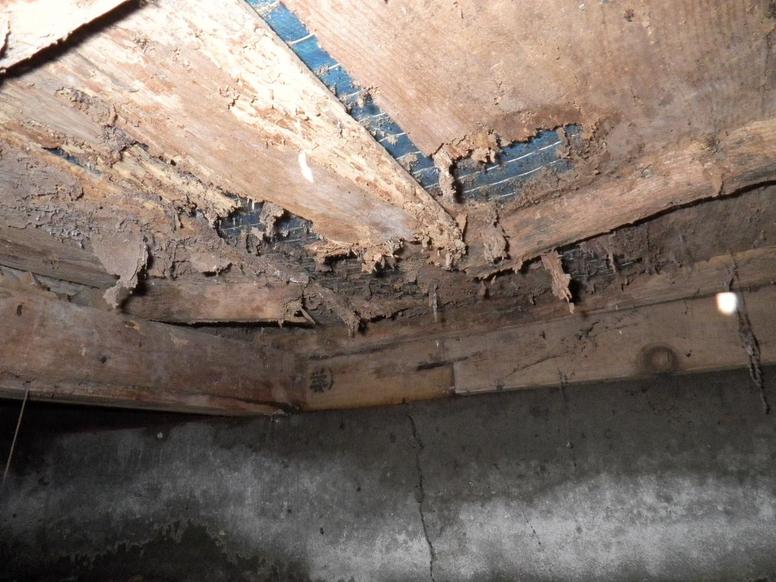 和室の床下のシロアリ被害