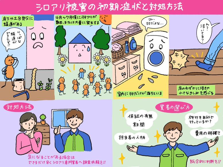 シロアリ被害の初期症状と対処方法、専門業者の選び方