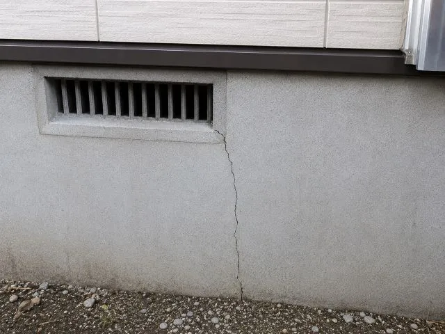 シロアリ侵入経路（基礎のひび割れ）