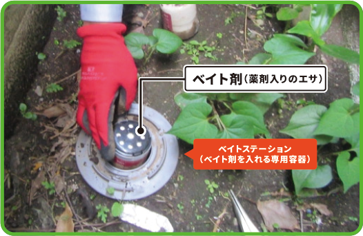 ベイト剤の設置（外周）