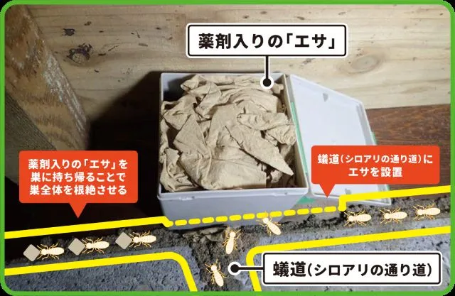 ベイト剤の設置（床下）