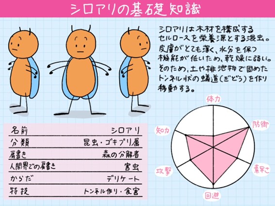 シロアリの基礎知識