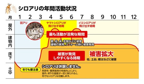 建物の場所別シロアリの年間活動状況