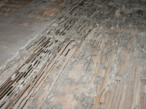 シロアリ被害によってスカスカになった建物内部