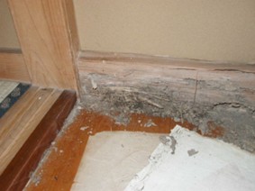 室内まで表出したシロアリ被害の様子