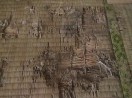 シロアリ被害にあった畳
