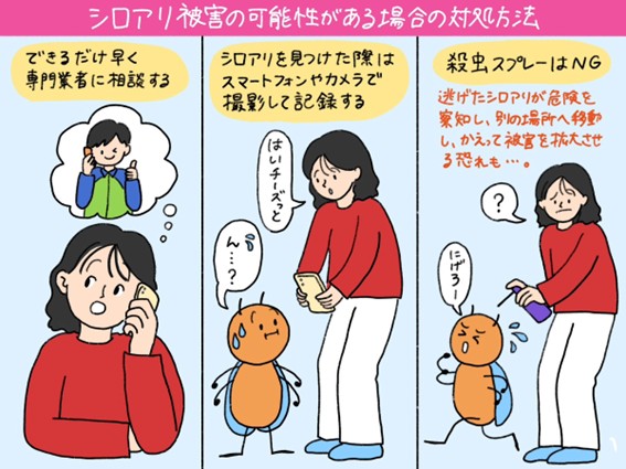 シロアリ被害の可能性がある場合の主な3つの対処方法