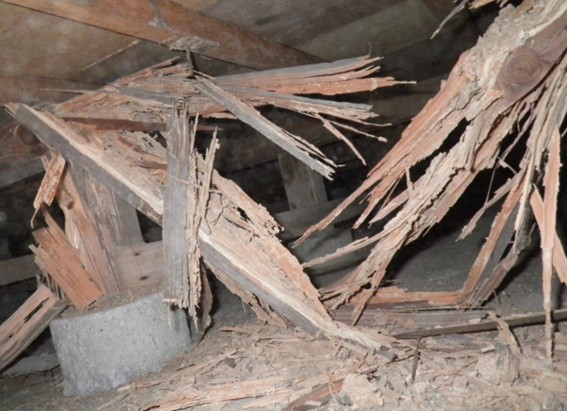 床下のシロアリ被害