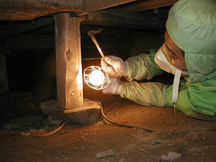 専門業者による床下のシロアリ駆除作業の様子
