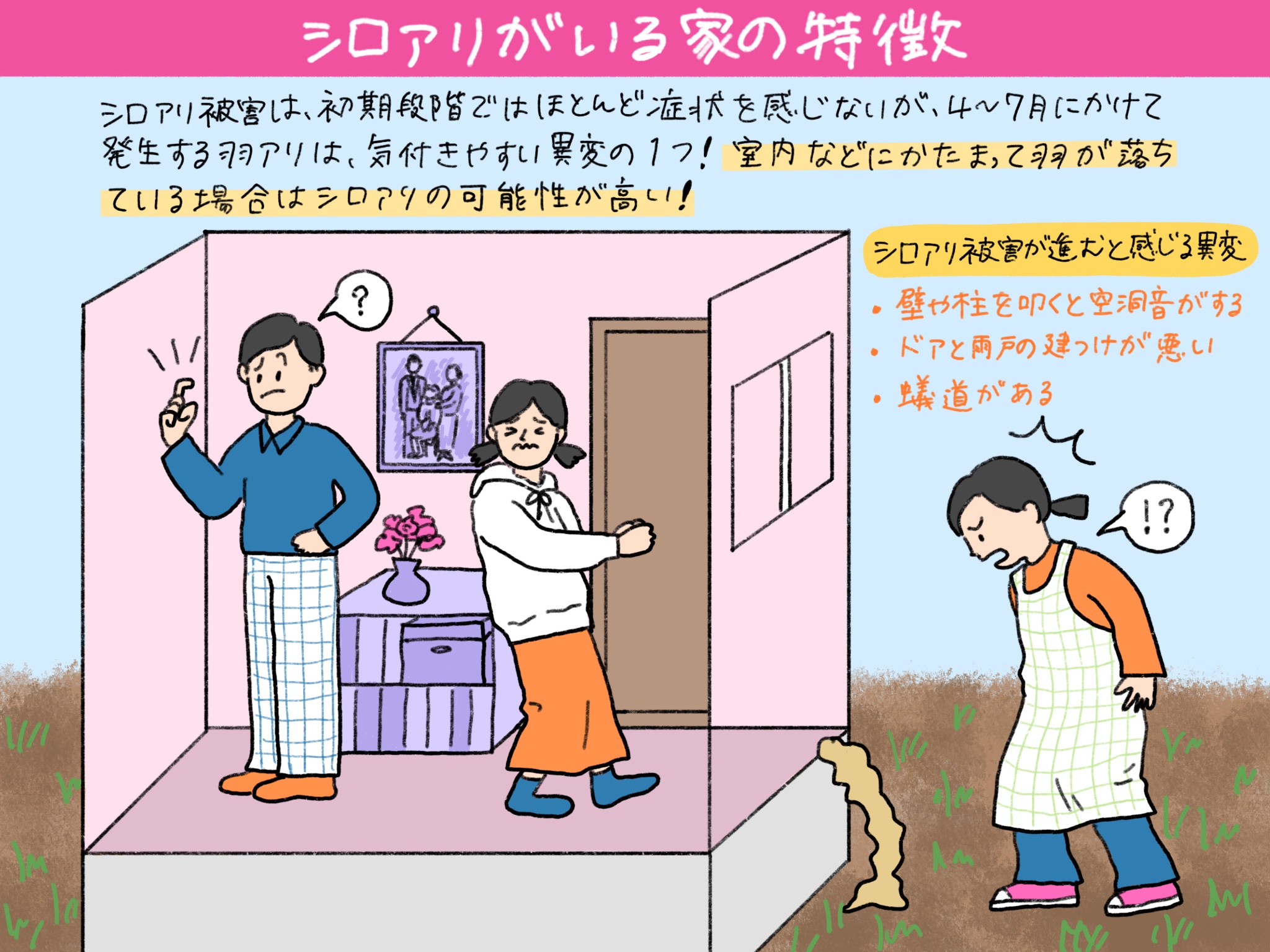 シロアリがいる家の特徴