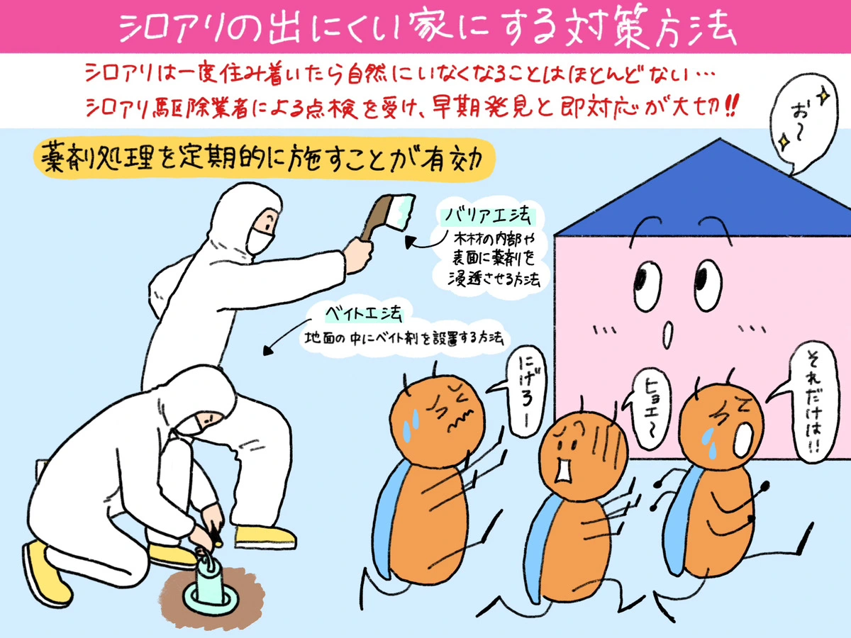 シロアリが出にくい家にする方法