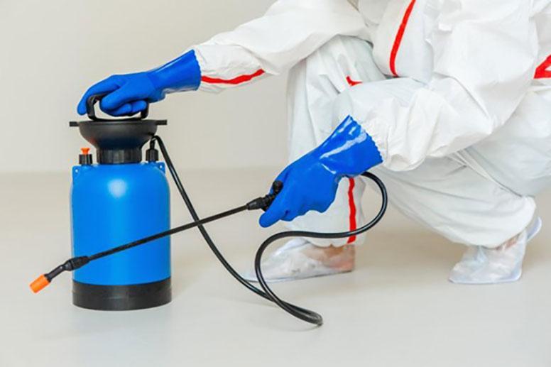 シロアリ駆除剤を噴射器で散布する様子