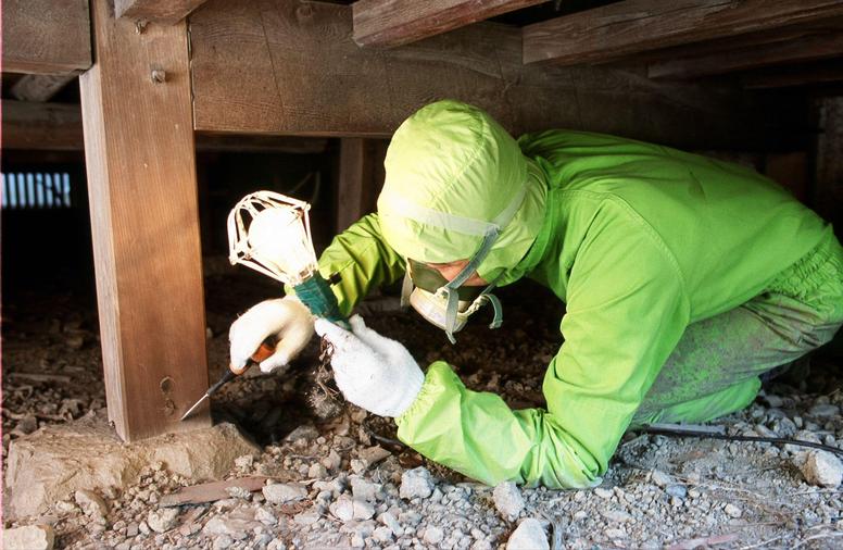 プロによるシロアリ駆除の様子