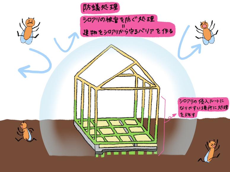 防蟻処理をわかりやすく説明したイメージ図