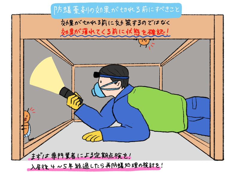 防蟻薬剤の効果が切れる前にすべきこと