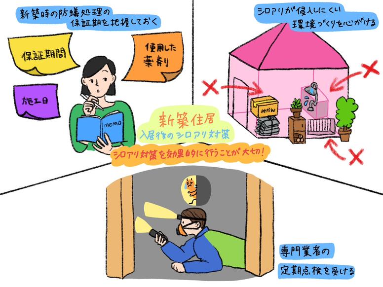 新築住宅に入居した後のシロアリ対策3つのポイント