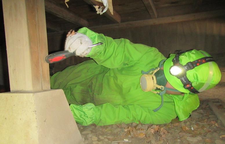 シロアリ駆除専門業者による床下点検