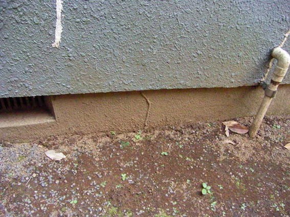 シロアリの蟻道ができた建物の外壁