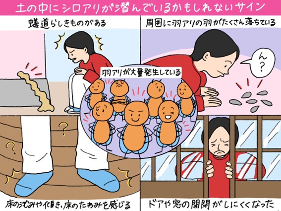 シロアリが潜んでいかもしれない主な5つのサイン