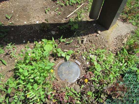 シロアリベイト剤の設置箇所