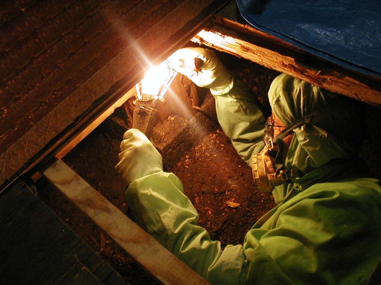 床下のシロアリ調査