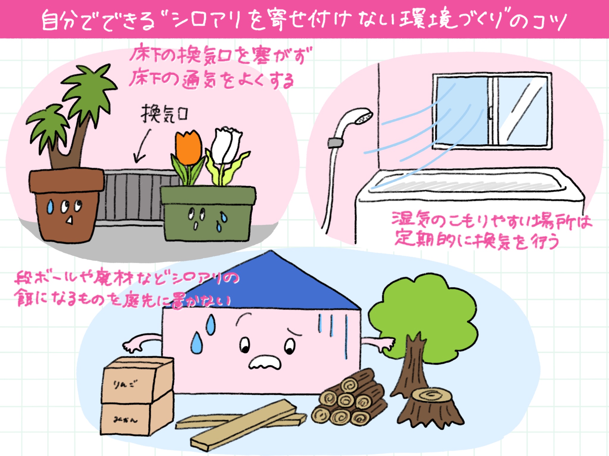 自分でできるシロアリを寄せ付けない環境づくりのコツ