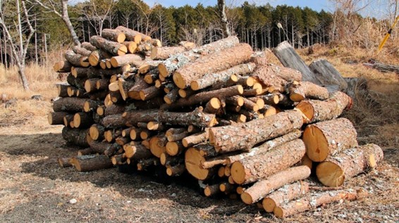 シロアリベイト剤の設置