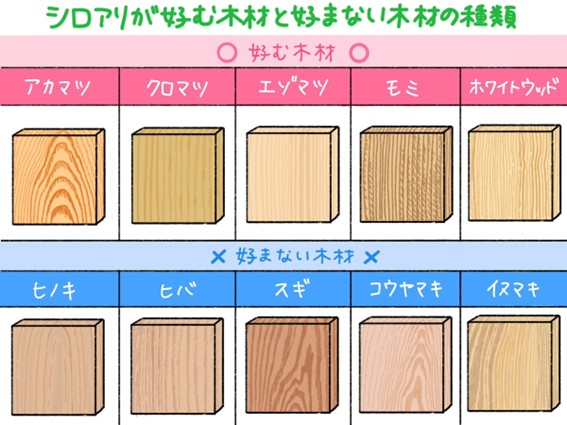 シロアリ被害を受けやすい木材のイメージ