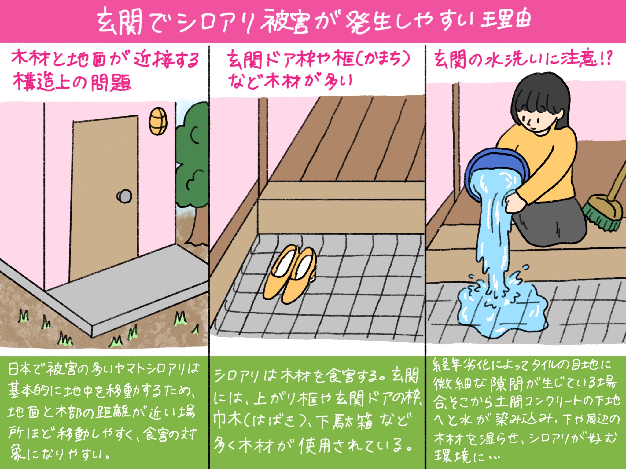 玄関でシロアリ被害が発生しやすい理由