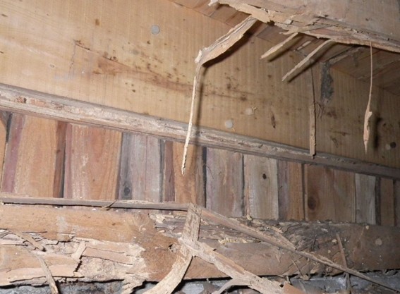 玄関の土留め板のシロアリ被害