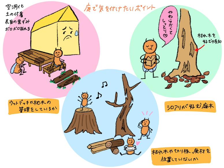 庭で気を付けたい3つのポイント