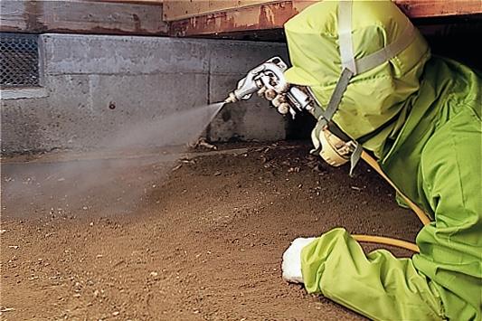 専門業者の防蟻処理の様子