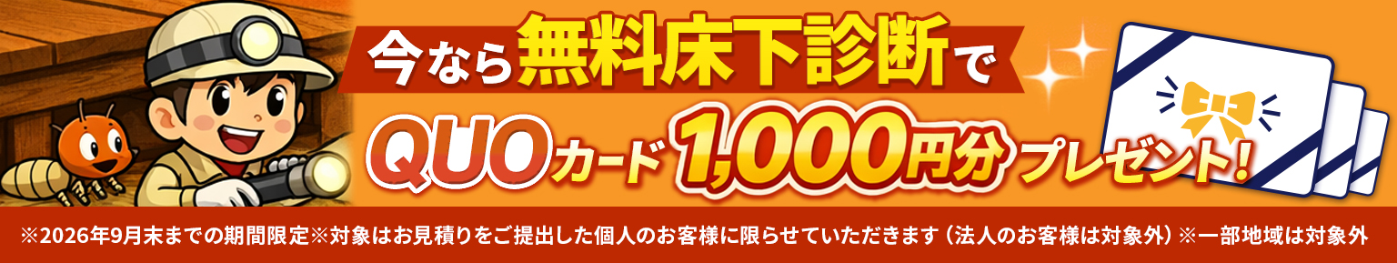 QUOカードキャンペーン