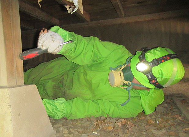 年1回の定期点検