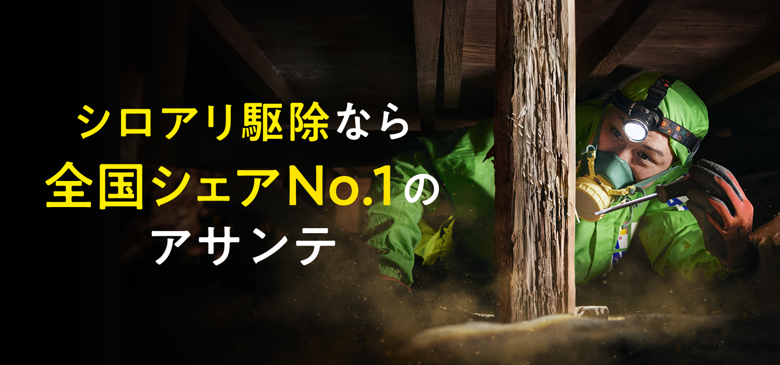 シロアリ駆除なら全国シェアNo.1のアサンテ