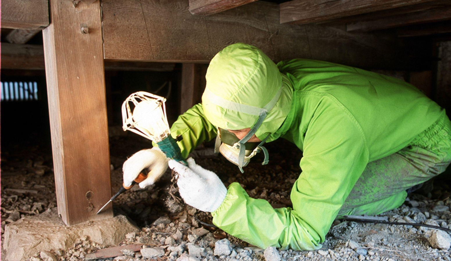 シロアリ駆除の様子