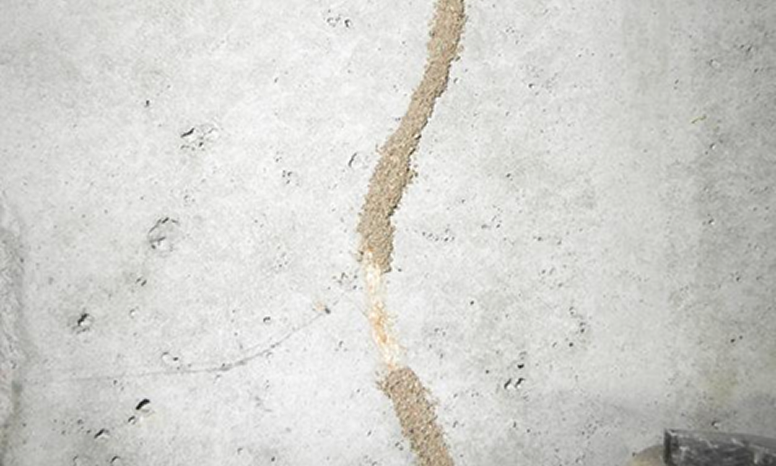 家の外回りに見られるシロアリの蟻道