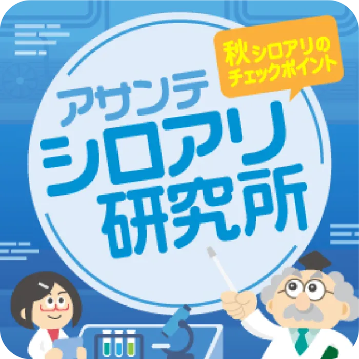 アサンテ シロアリ研究所