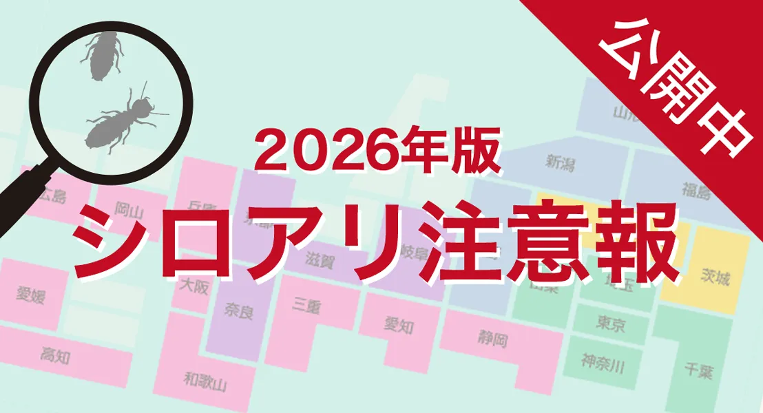 シロアリ注意報