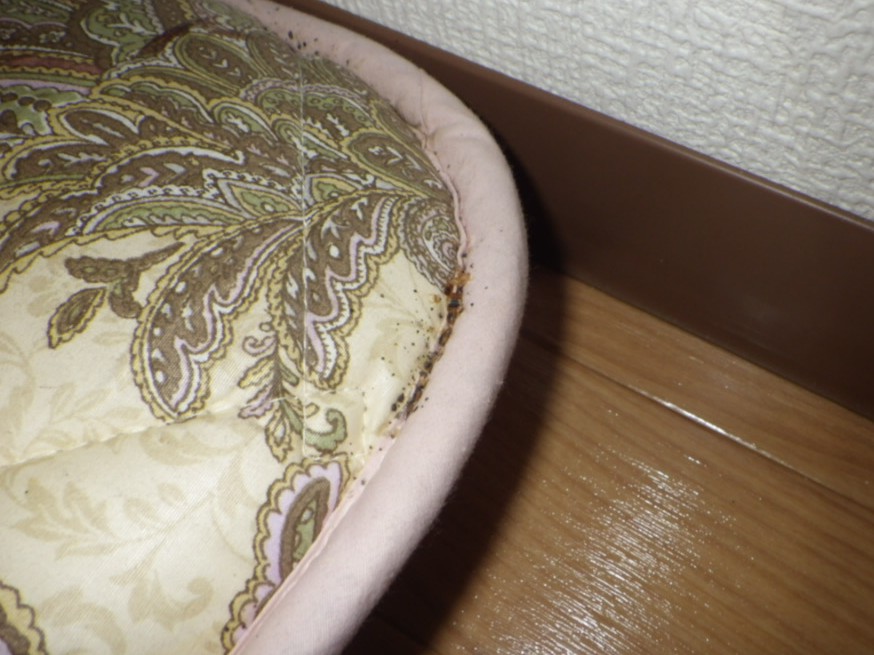 トコジラミのふん